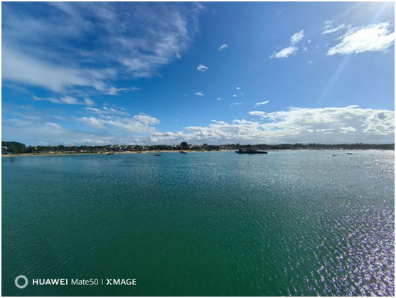 Global Service Network Deepens, Ushering in a New Era of Transoceanic Logistics Collaboration